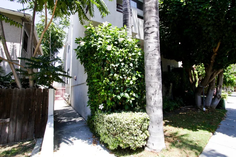 The sidewalk beside 14631 Dickens St