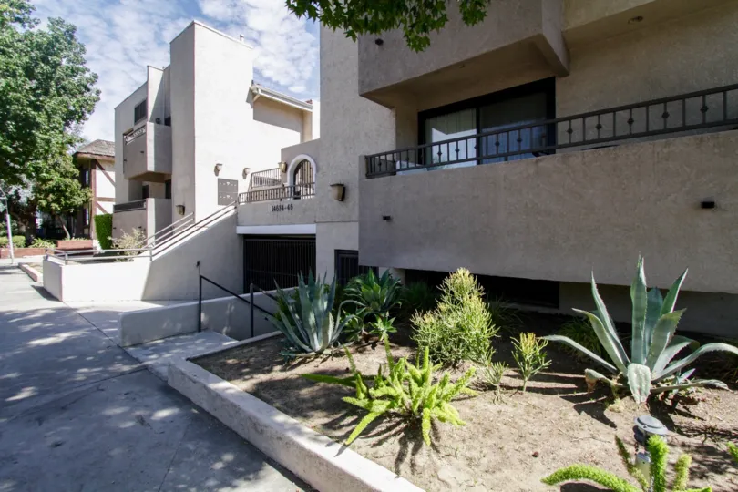 The landscaping at 14634 Magnolia Blvd