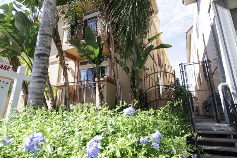 The landscapnig at 14819 Magnolia Blvd