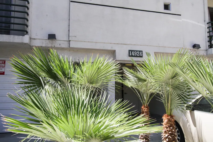 The landscaping seen at 14926 Moorpark st in Sherman Oaks