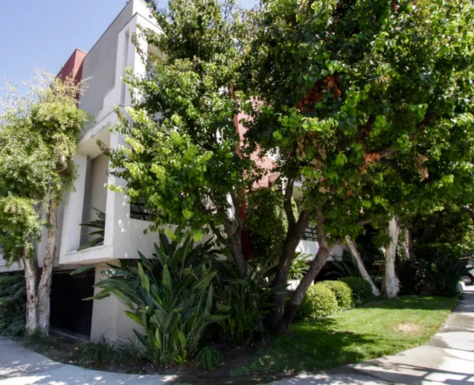 The landscaping seen as 4350 Stern Ave