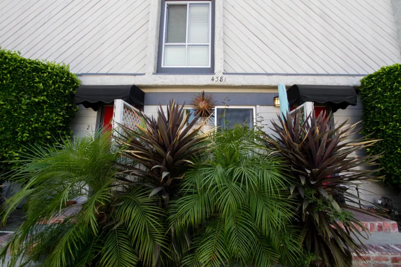 The landscaping around 4381 Ventura Canyon Ave in Sherman Oaks