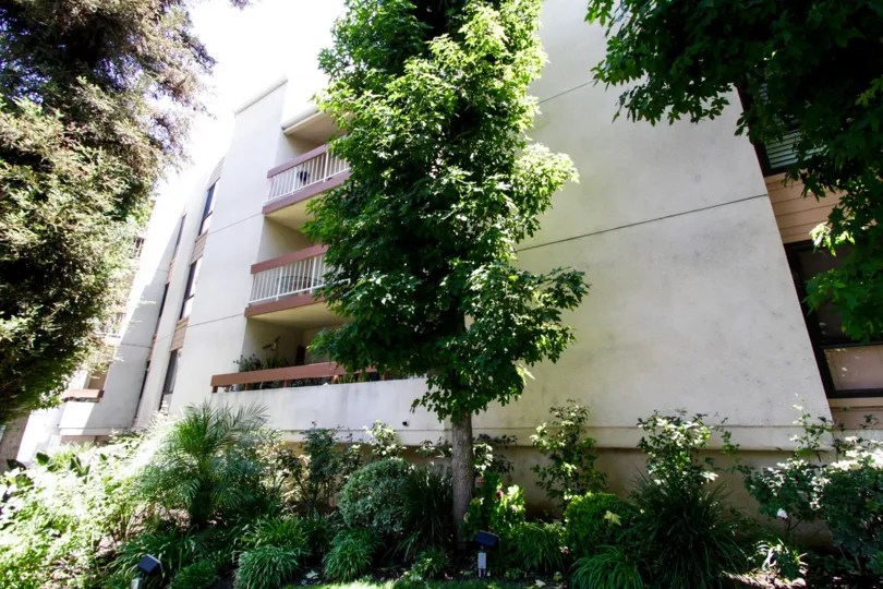 The landscaping at 4542 Willis Ave in Sherman Oaks