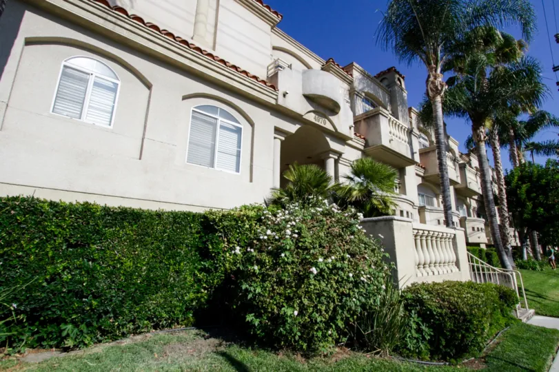 The landscaping seen around 4970 Kester Ave in Sherman Oaks