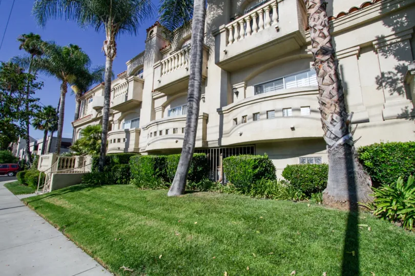 The yard around 4970 Kester Ave in Sherman Oaks