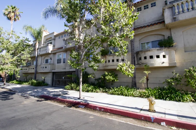 The trees seen around 4970 Kester Ave in Sherman Oaks