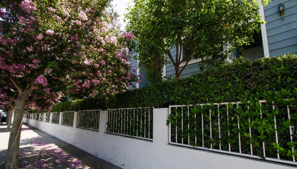 The landscaping around Burbank Townhomes in Sherman Oaks