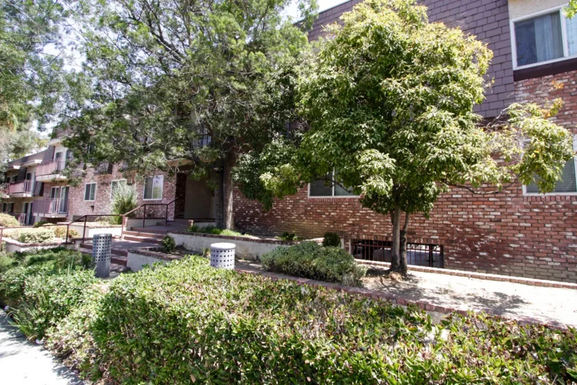 The landscaping around Canyon Wood Villas