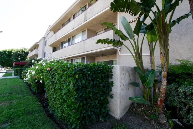 The Carlyle Towers building in Sherman Oaks
