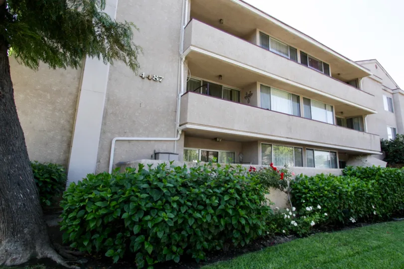 The windows at Carlyle Towers in Sherman Oaks