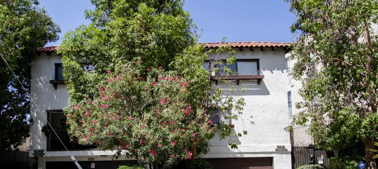 The trees seen around Casa Serena in Sherman Oaks