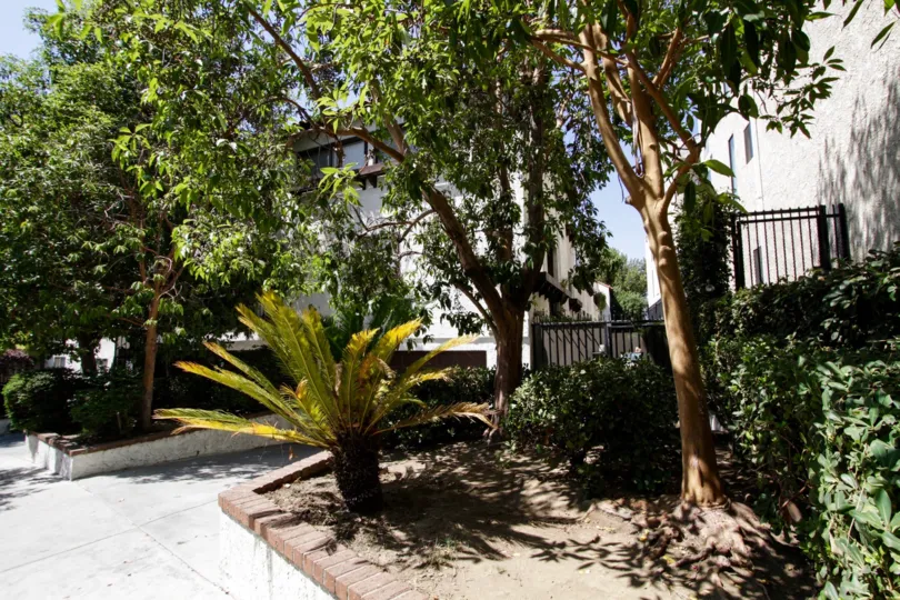 The landscaping around Casa Serena in Sherman Oaks