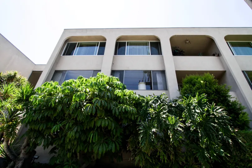 The windows seen at Chandler House
