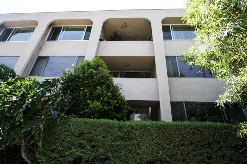 The hedges in front of the Chandler House