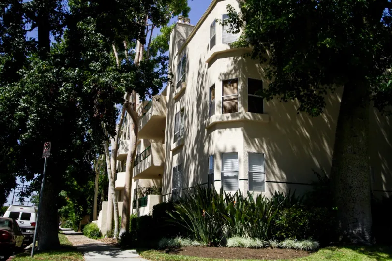 The windows in the Chandler Park Village
