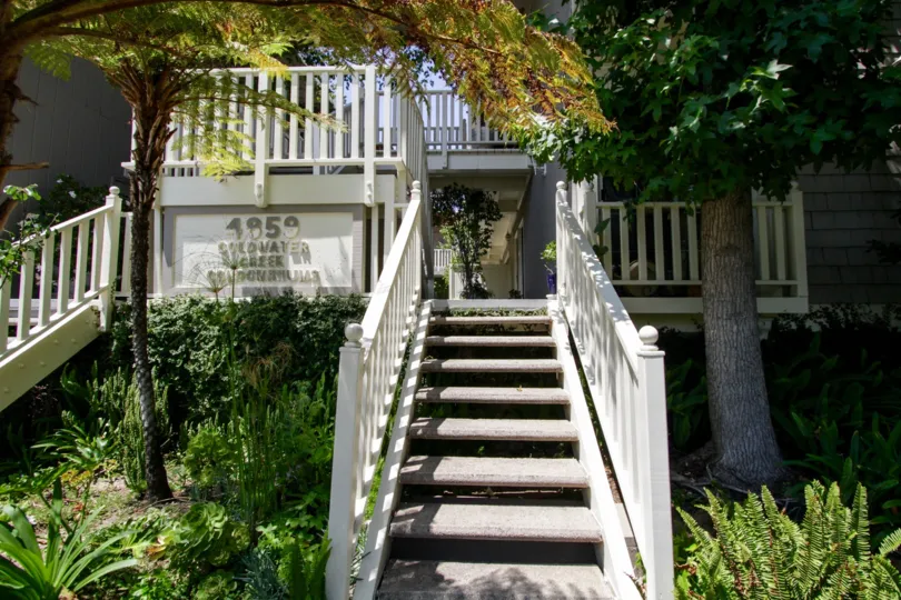 The stairs up to Coldwater Creek