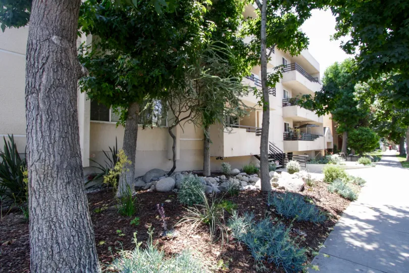 The landscaping at Coldwater Place in Sherman Oaks