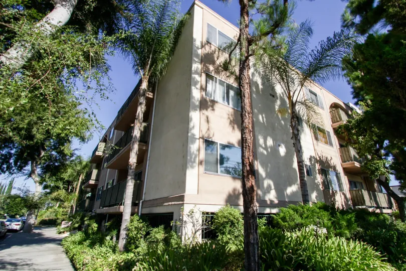 The landscaping at Consulate in Sherman Oaks