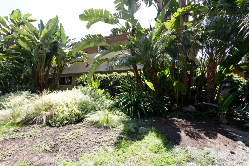 The landscaping at Deauville Maison in Sherman Oaks