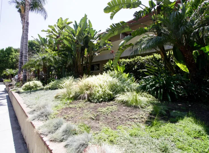 The greenery at Deauville Maison