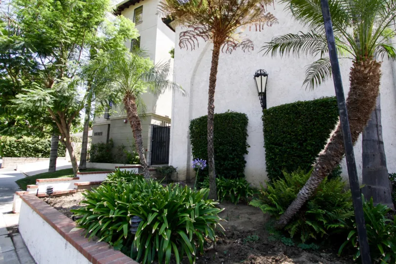 The greenery around Dickens Street Townhomes