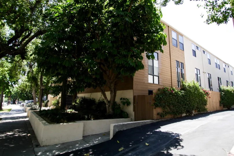 The trees to the side of Dickens Terrace South