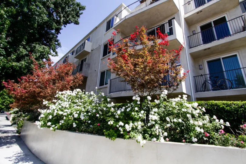 The landscaping seen in front of Killion Condos