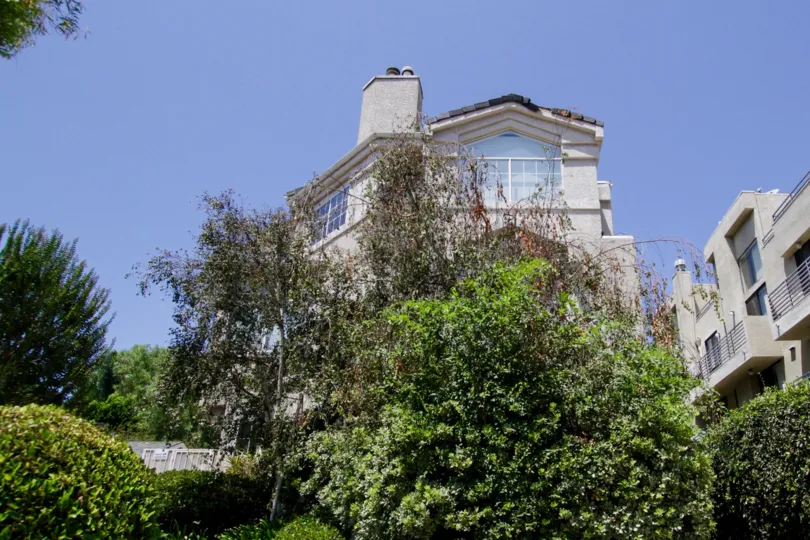 The lansddcaping around the Noble House in Sherman Oaks