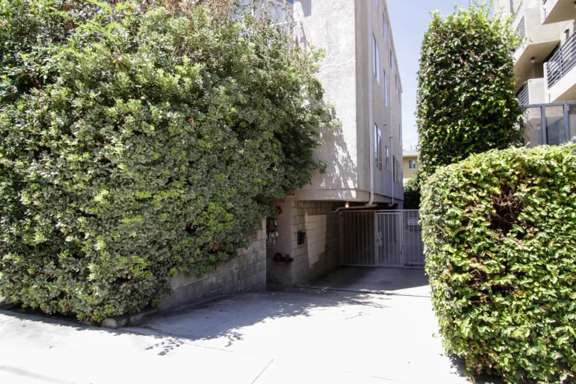The side entrance into Noble House