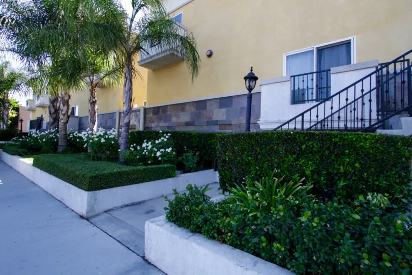 The landscaping around Placita De Oro in Sherman Oaks