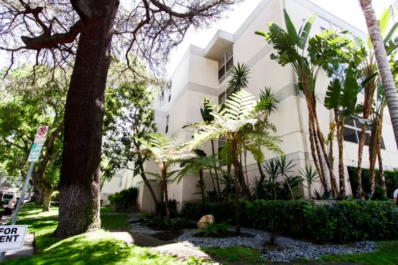 The trees throughout the Sherman Villas