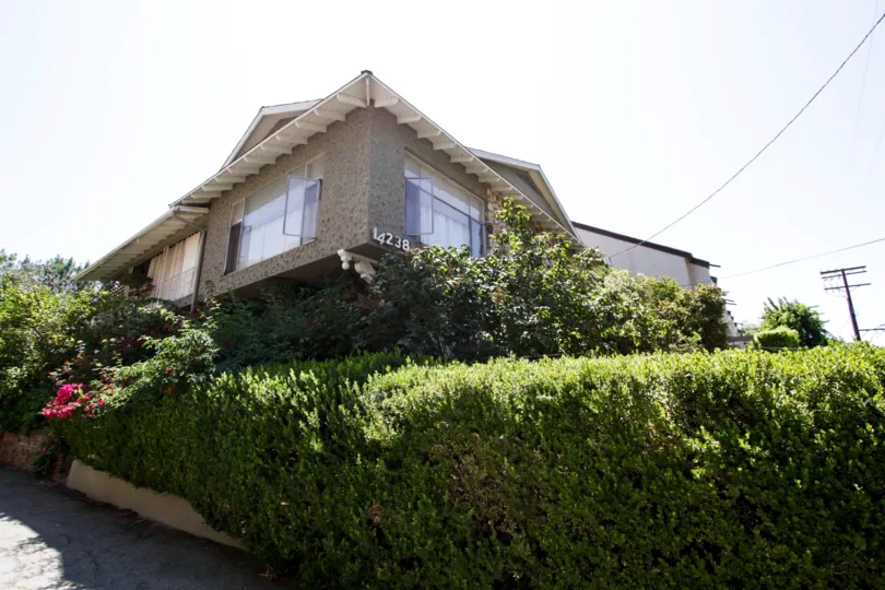 The windows on the Unity Arms