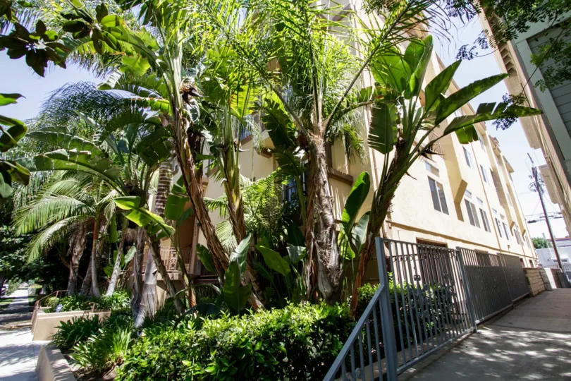 The landscaping throughout the Villa at Vista Del Monte