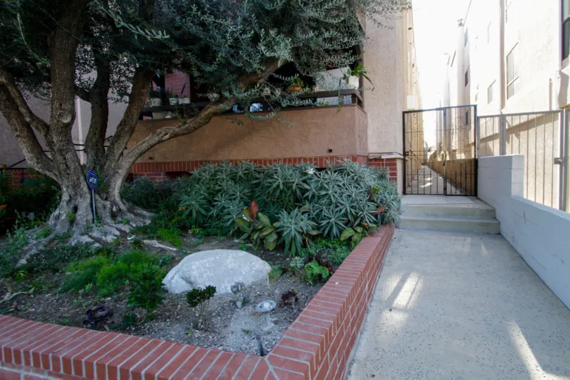 The sidewalk up to Willis Manor