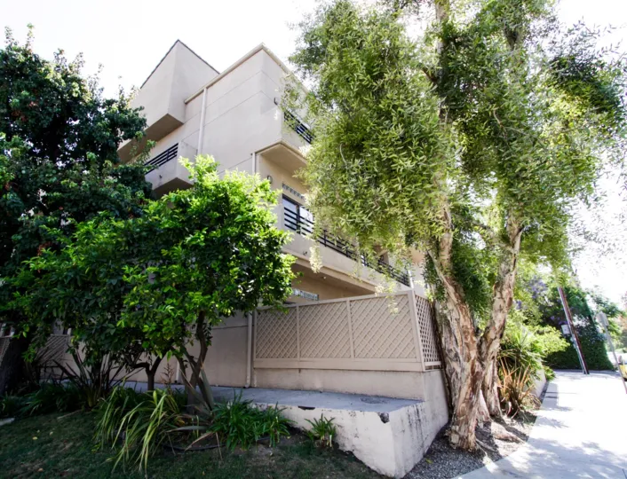 The trees surrounding the Woodman Villas