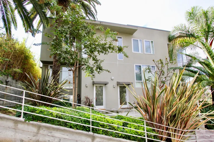 The view of Allesandro Palms