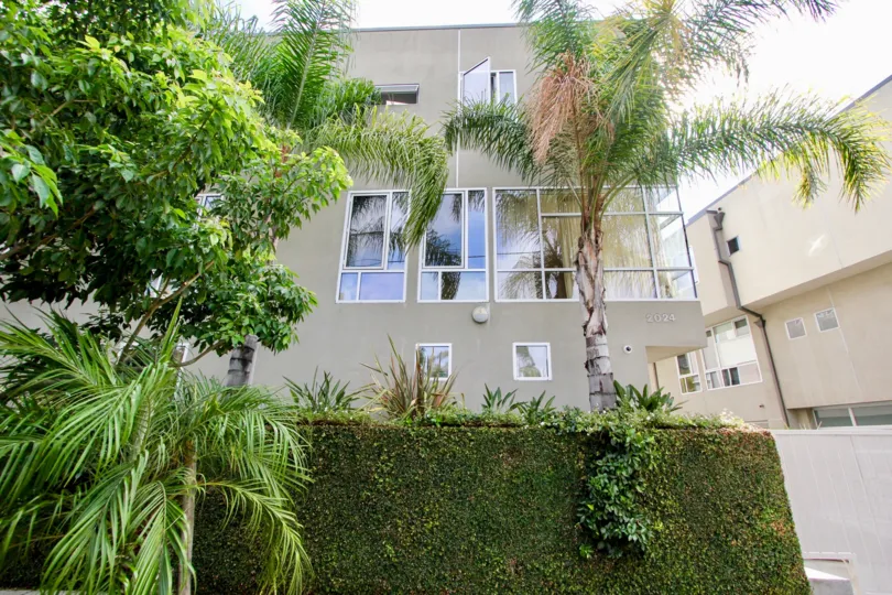 The hedges in front of Allesandro Palms