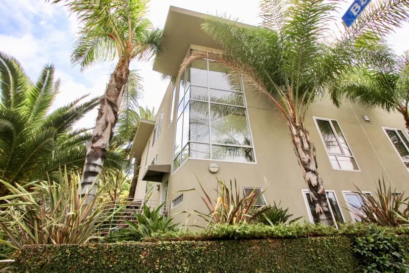 The palm trees in front of Allesandro Palms in Silver Lake, California