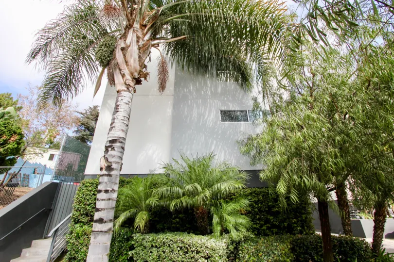 The landscaping around Mix Lofts in Silver Lake, California