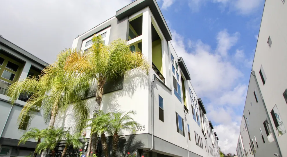 The windows in Mix Lofts