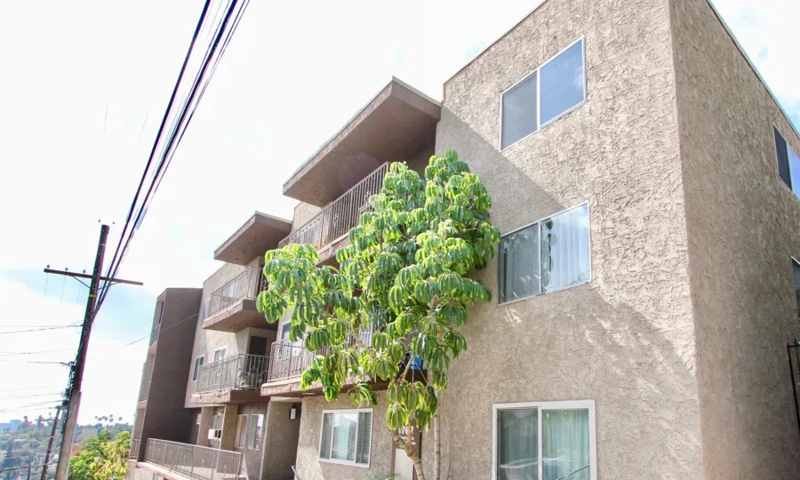 The windows in Silver View Terrace