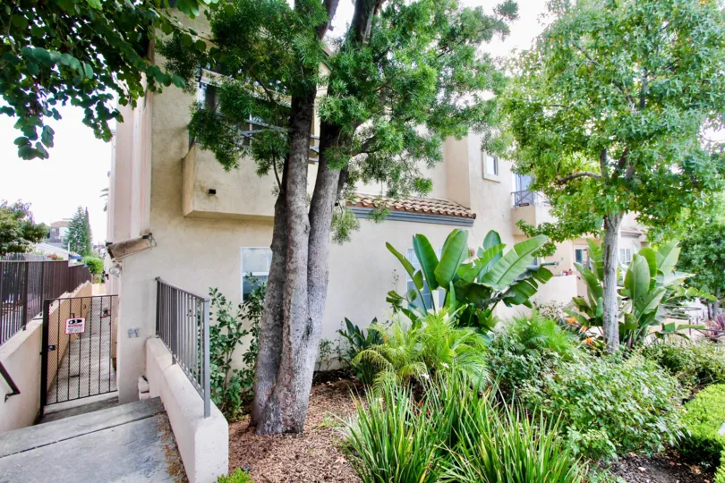 The landscaping around Silver View Townhomes