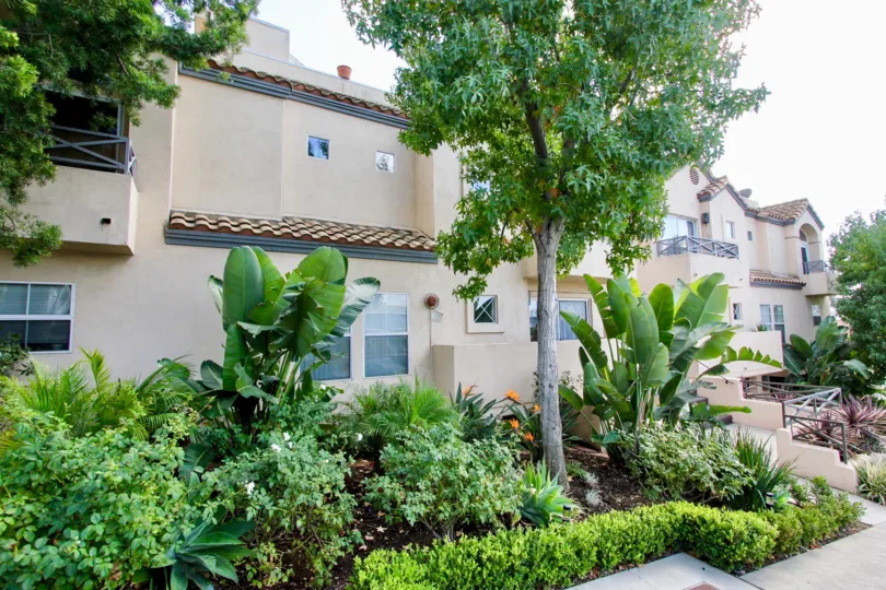 The plants around Silver View Townhomes