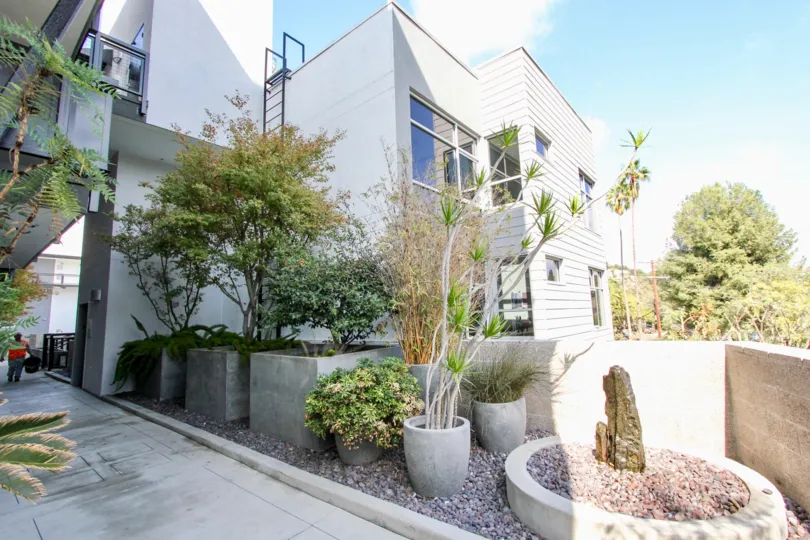 The plants seen throughout Sunset Silver Lake Lofts in Silver Lake, California
