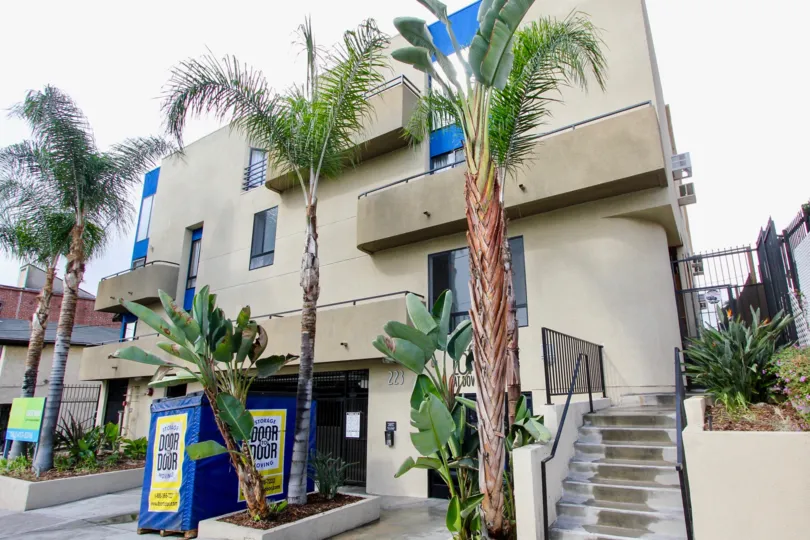 The trees in front of Vista Alvarado in Silver Lake, California