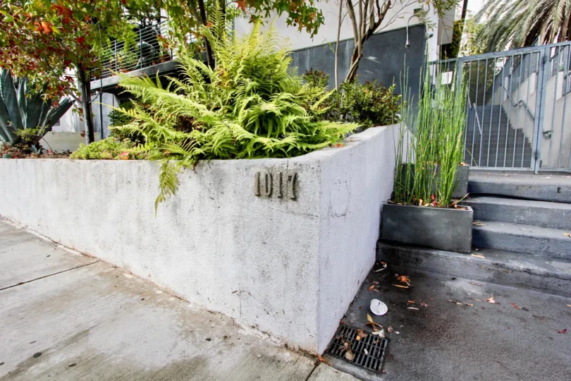The landscaping around Vista Alvarado