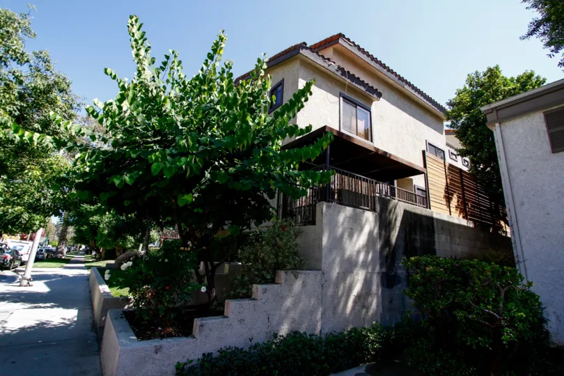 The landscaping around 10960 Bluffside Dr in Studio City