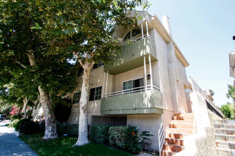 The landscaping around 11485 Moorpark St in Studio City
