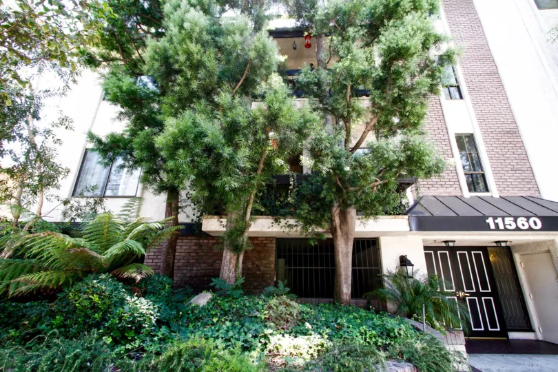 The landscaping of 11560 Moorpark St in Studio City
