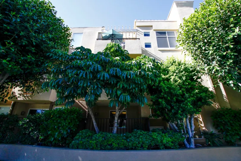 The landscaping around 12633 Moorpark